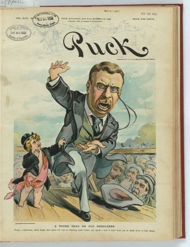 TR might not like it, but as a public, newsworthy figure Puck is not violating his right of publicity even when they use his image to sell magazines.